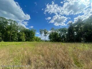 45 Millbrook Ln, Kerhonkson NY, 12446 land for sale