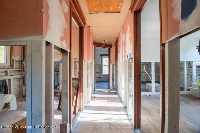 miscellaneous room featuring light hardwood / wood-style flooring