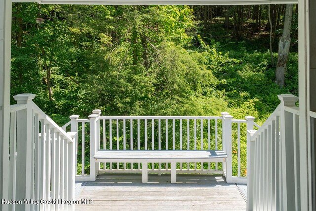347 Hickory Bush Rd, Kingston, NY 12401 - photo 38