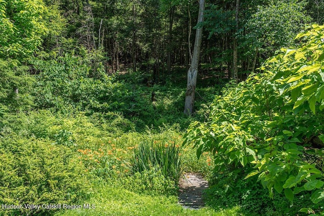 347 Hickory Bush Rd, Kingston, NY 12401 - photo 41