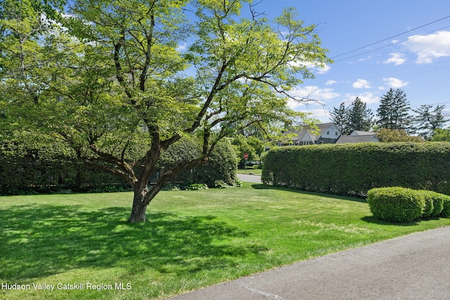 242 N Manor Ave, Kingston, NY 12401 - view of green lawn