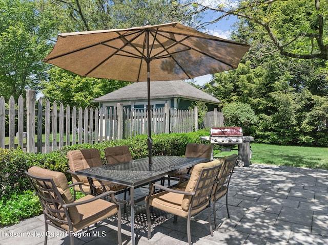 242 N Manor Ave, Kingston, NY 12401 - view of patio / terrace with outdoor dining area and area for grilling