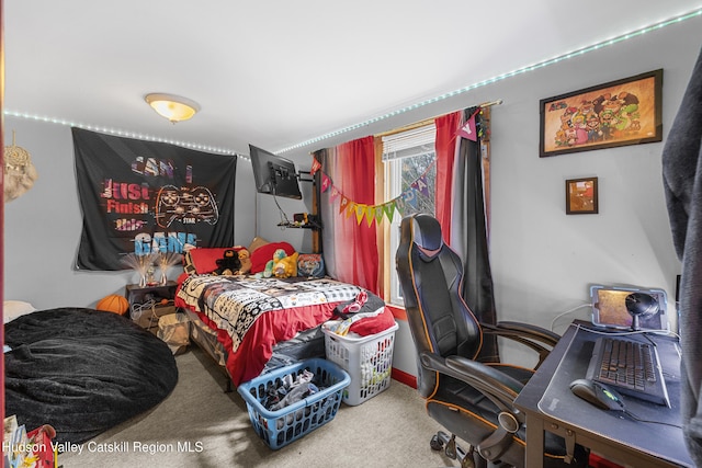 252 Ruby Rd, Kingston, NY 12401 - view of carpeted bedroom