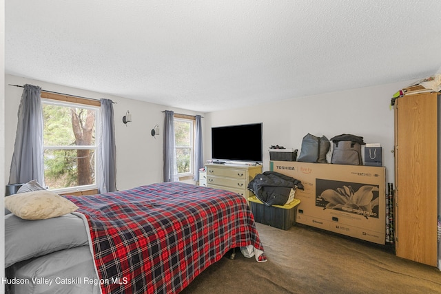 252 Ruby Rd, Kingston, NY 12401 - carpeted bedroom featuring a textured ceiling