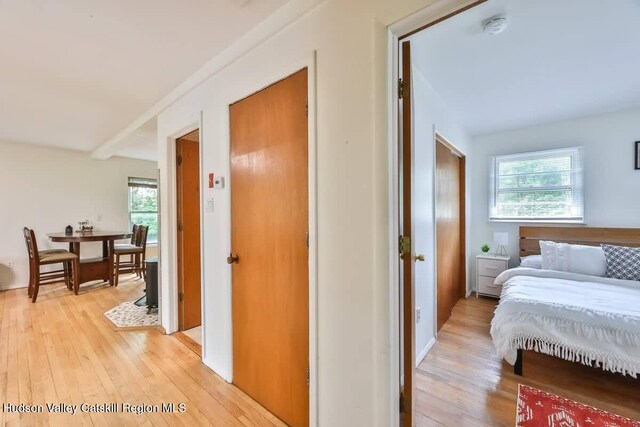 89 Maple Ave, Hunter, NY 12442 - photo 21