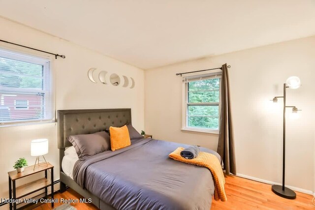 89 Maple Ave, Hunter, NY 12442 - photo 26