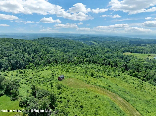 274 Bald Mountain Rd, Brunswick, NY 12180 - aerial view of a heavily wooded area