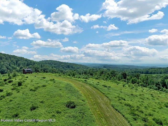 274 Bald Mountain Rd, Brunswick, NY 12180 - aerial view of a heavily wooded area