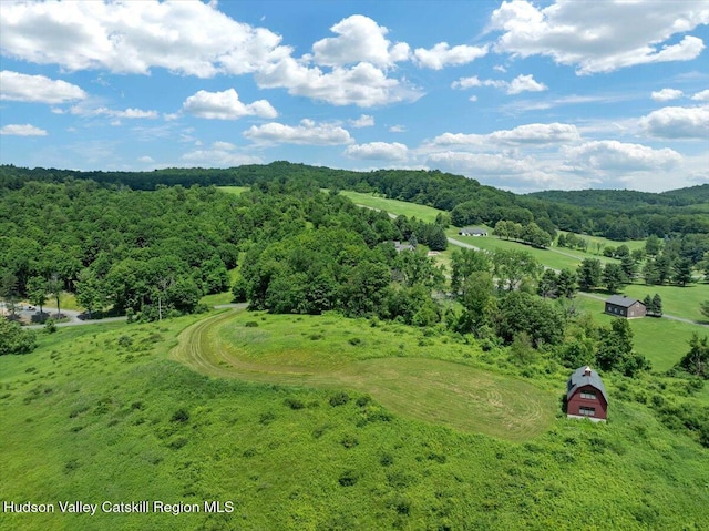 274 Bald Mountain Rd, Brunswick, NY 12180 - drone / aerial view of a heavily wooded area