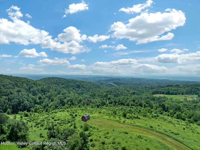 274 Bald Mountain Rd, Brunswick, NY 12180 - drone / aerial view of a forest