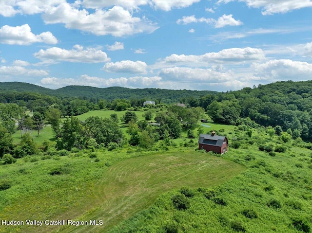 274 Bald Mountain Rd, Brunswick, NY 12180 - bird's eye view of a heavily wooded area and a mountainous background