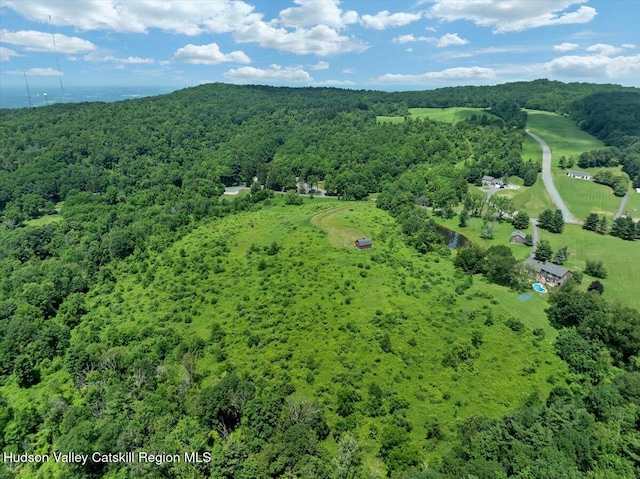 274 Bald Mountain Rd, Brunswick, NY 12180 - aerial view of a heavily wooded area