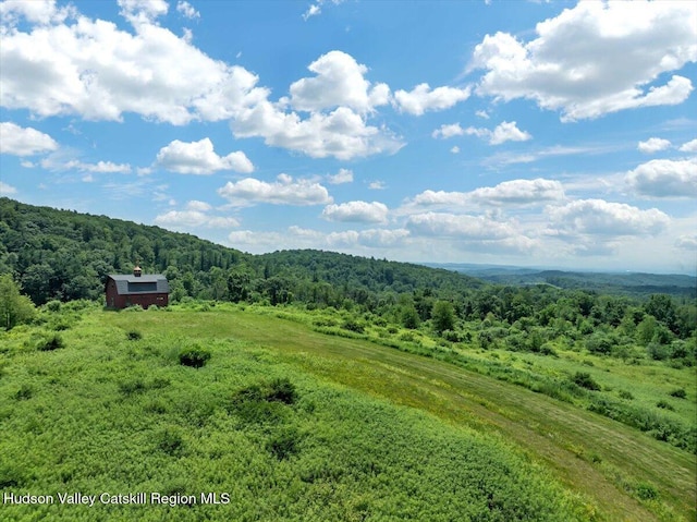 274 Bald Mountain Rd, Brunswick, NY 12180 - mountain view featuring a forest