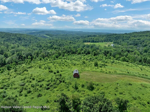 274 Bald Mountain Rd, Brunswick, NY 12180 - bird's eye view of a heavily wooded area