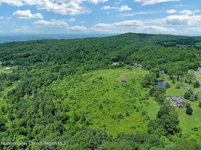 274 Bald Mountain Rd, Brunswick, NY 12180 - bird's eye view of a heavily wooded area and a large body of water