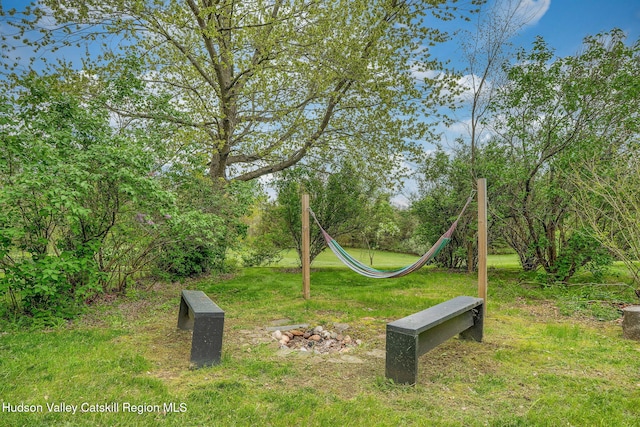 84 Old Rte 82, Hudson, NY 12534 - view of green lawn