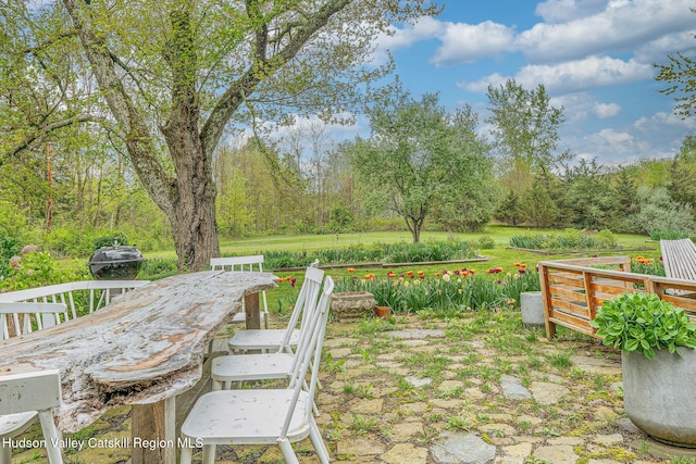 84 Old Rte 82, Hudson, NY 12534 - view of yard with outdoor dining area