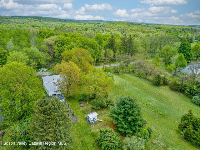 84 Old Rte 82, Hudson, NY 12534 - aerial view of a forest