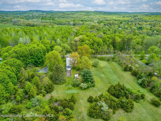 84 Old Rte 82, Hudson, NY 12534 - bird's eye view of a heavily wooded area