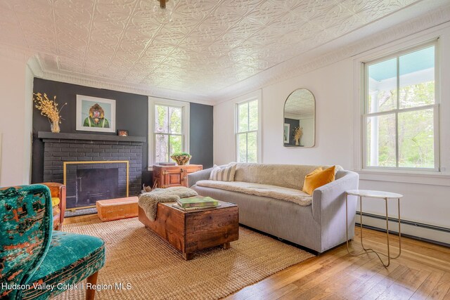 84 Old Rte 82, Hudson, NY 12534 - living room featuring hardwood / wood-style floors, an ornate ceiling, baseboard heating, and a fireplace