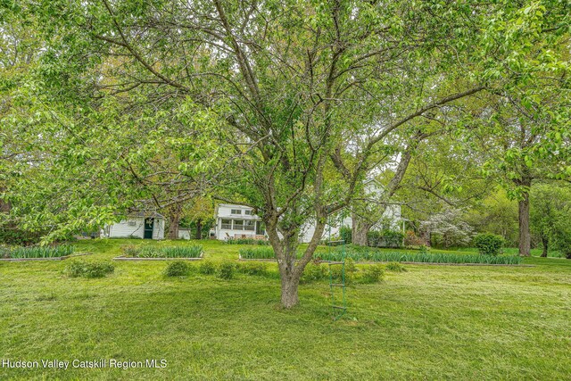 84 Old Rte 82, Hudson, NY 12534 - view of green lawn featuring an outdoor structure