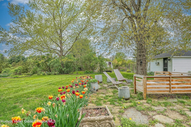 84 Old Rte 82, Hudson, NY 12534 - view of yard