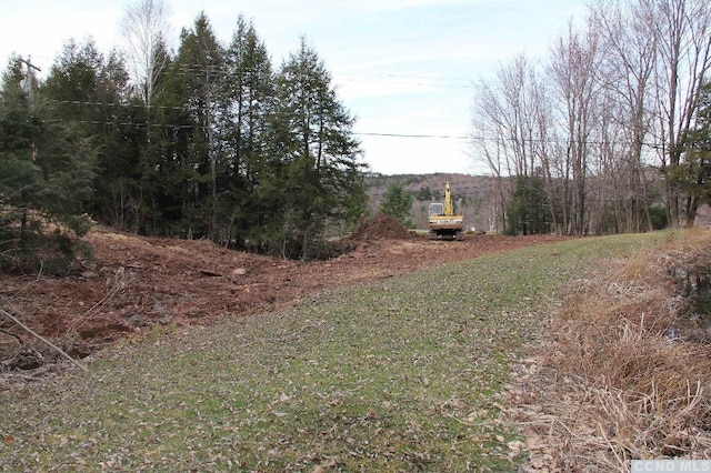 57 S St, Windham, NY 12496