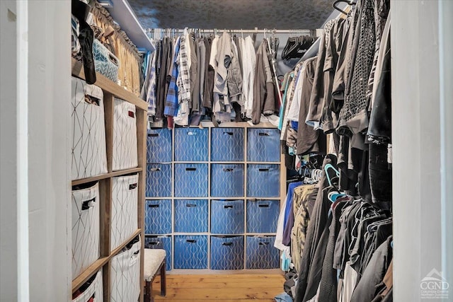 4916 Rte 81, Greenville, NY 12083 - walk in closet featuring hardwood / wood-style flooring