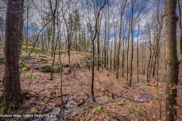 177 Benton Rd, Elizaville, NY 12523