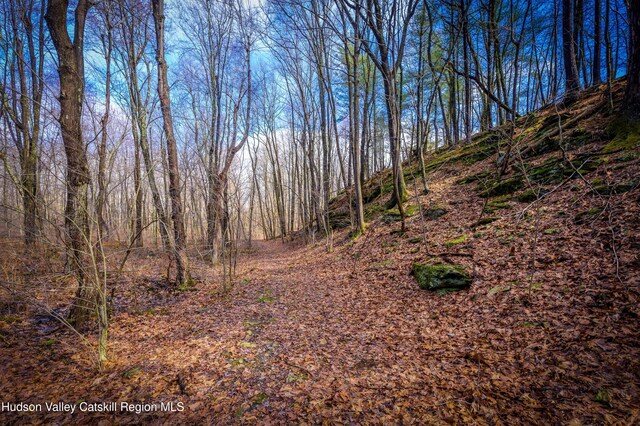 177 Benton Rd, Elizaville, NY 12523