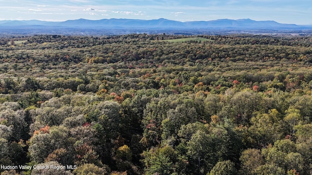 177 Benton Rd, Elizaville, NY 12523