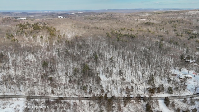 177 Benton Rd, Elizaville, NY 12523
