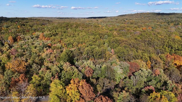 177 Benton Rd, Elizaville, NY 12523