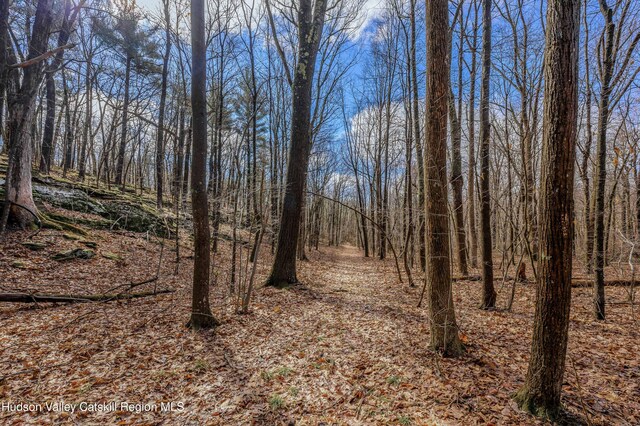 177 Benton Rd, Elizaville, NY 12523