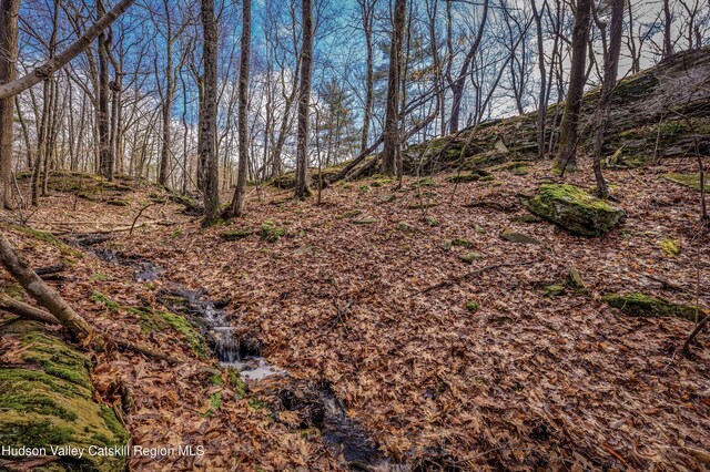 177 Benton Rd, Elizaville, NY 12523