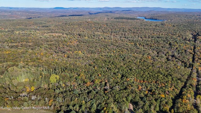 177 Benton Rd, Elizaville, NY 12523