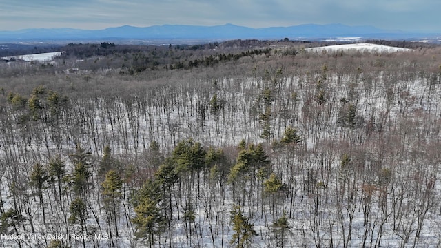 177 Benton Rd, Elizaville, NY 12523