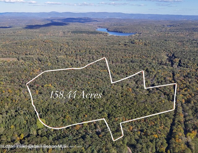 177 Benton Rd, Elizaville, NY 12523