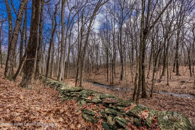 177 Benton Rd, Elizaville, NY 12523