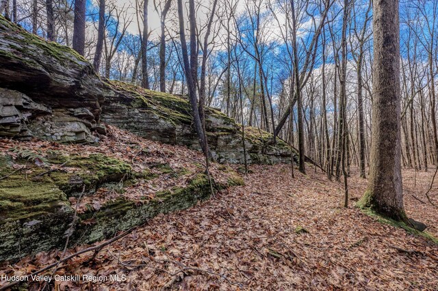 177 Benton Rd, Elizaville, NY 12523
