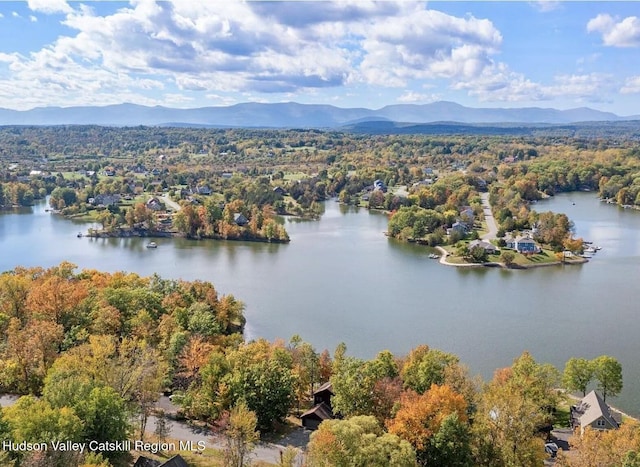 882 Sleepy Hollow Rd, Athens, NY 12015 - photo 2
