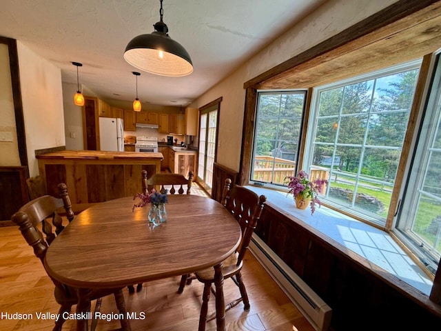 65 Bluebird Ln, Andes, NY 13731 - dining room featuring a baseboard radiator and light wood-style flooring