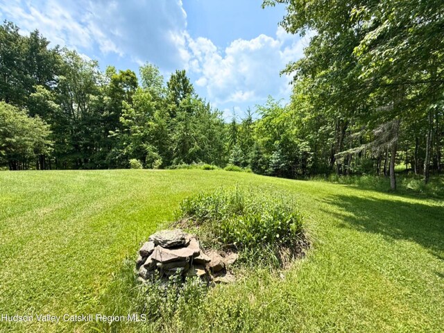 65 Bluebird Ln, Andes, NY 13731 - view of green lawn featuring a view of trees