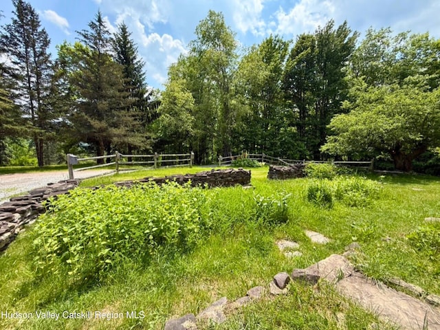 65 Bluebird Ln, Andes, NY 13731 - view of yard