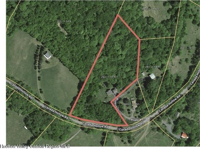 65 Bluebird Ln, Andes, NY 13731 - aerial view of property's location with property boundaries highlighted