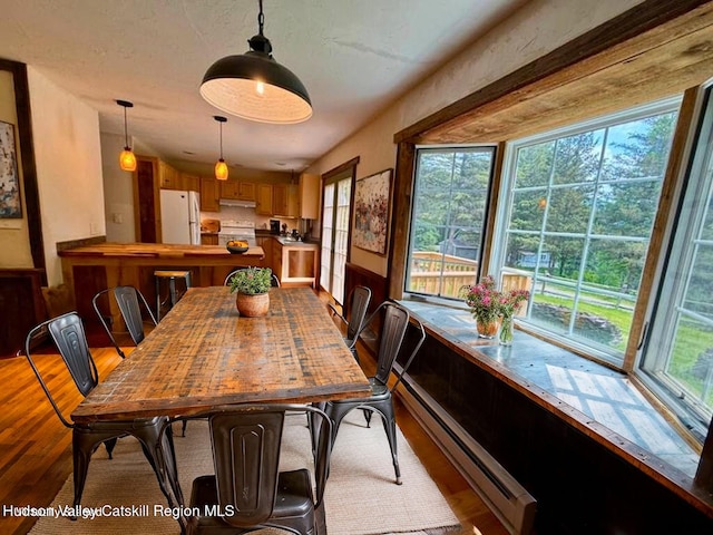 65 Bluebird Ln, Andes, NY 13731 - dining area with healthy amount of natural light, a baseboard radiator, and wood finished floors