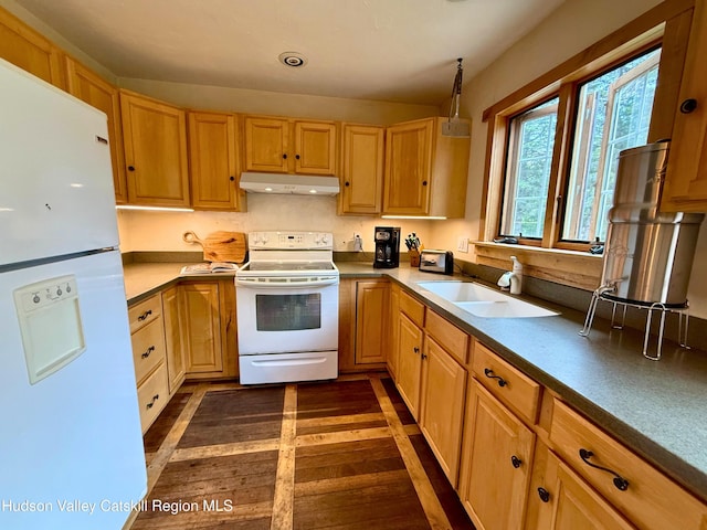 65 Bluebird Ln, Andes, NY 13731 - kitchen featuring white appliances, under cabinet range hood, a sink, and dark wood-type flooring