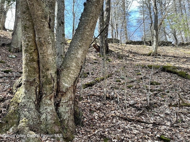 view of nature