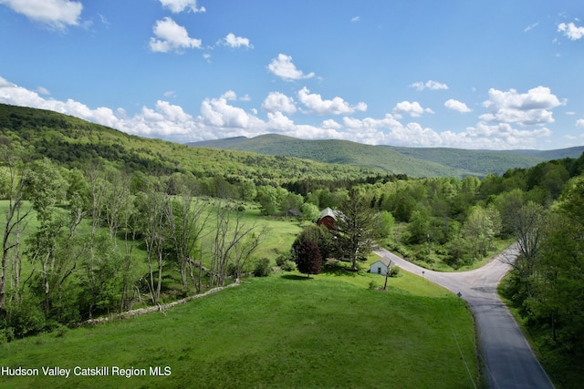 1114 Bull Run Rd, Margaretville, NY 12455 - photo 49