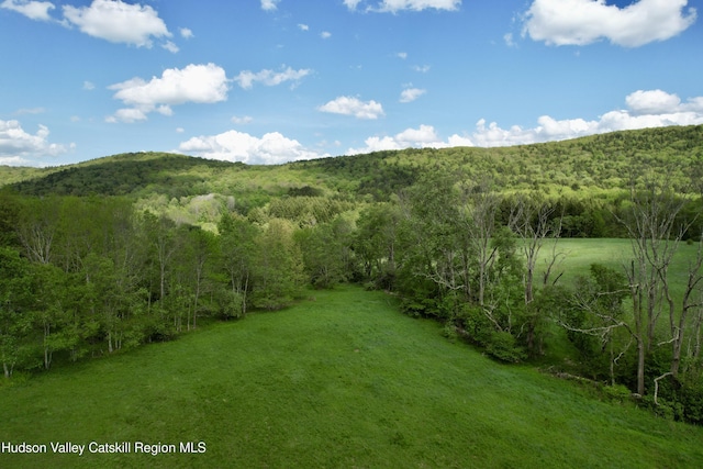 1114 Bull Run Rd, Margaretville, NY 12455 - photo 50